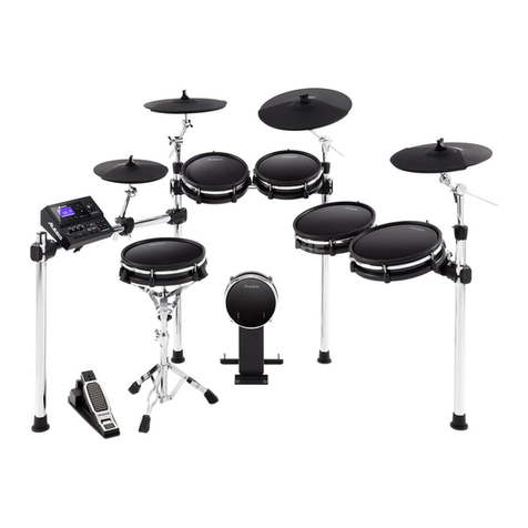 Alesis DM10 MKII Pro Assembly guide