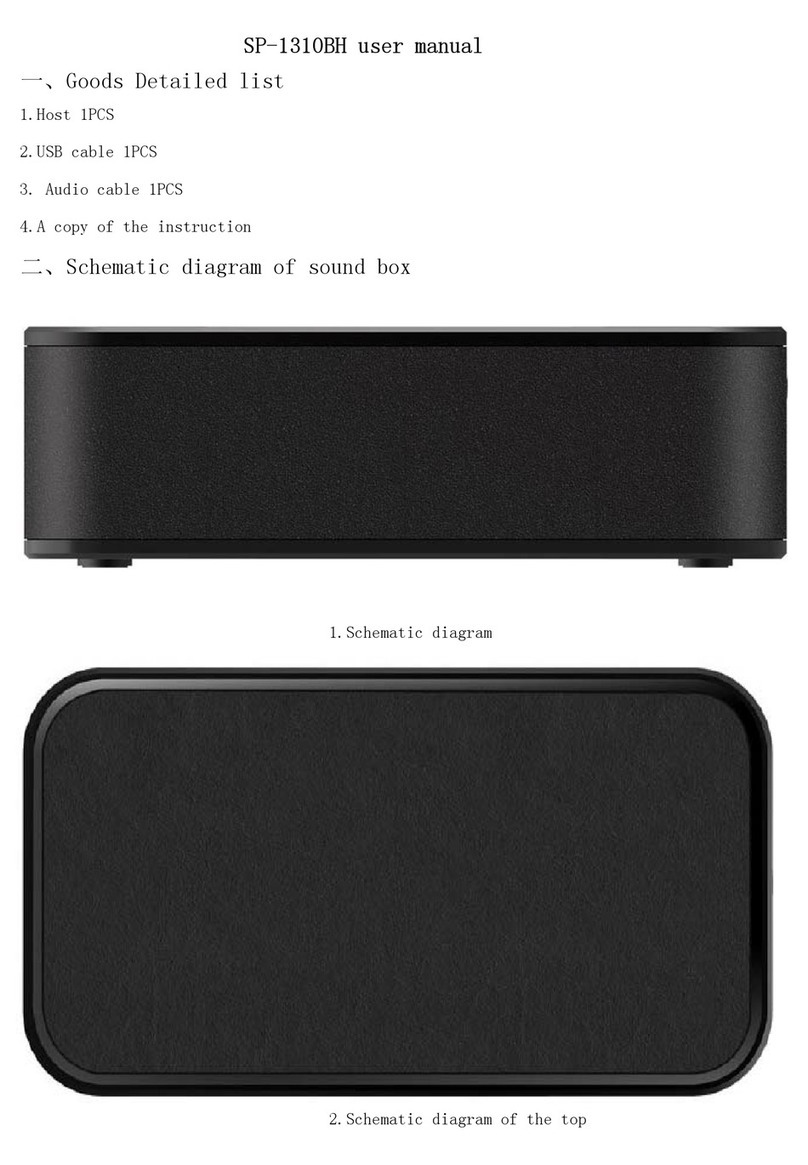 Shenzhen CCA Electronic Factory SP-1310BH user manual