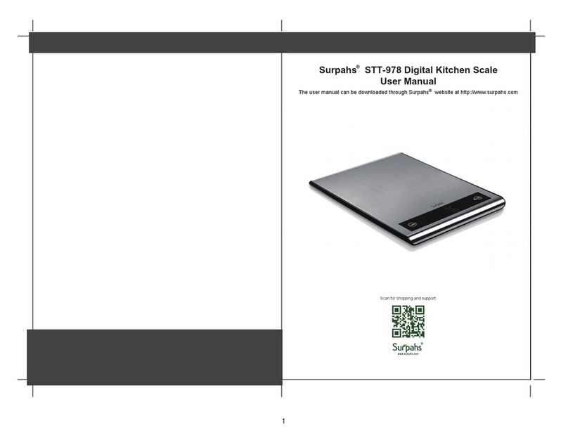 Surpahs STT-978 User manual