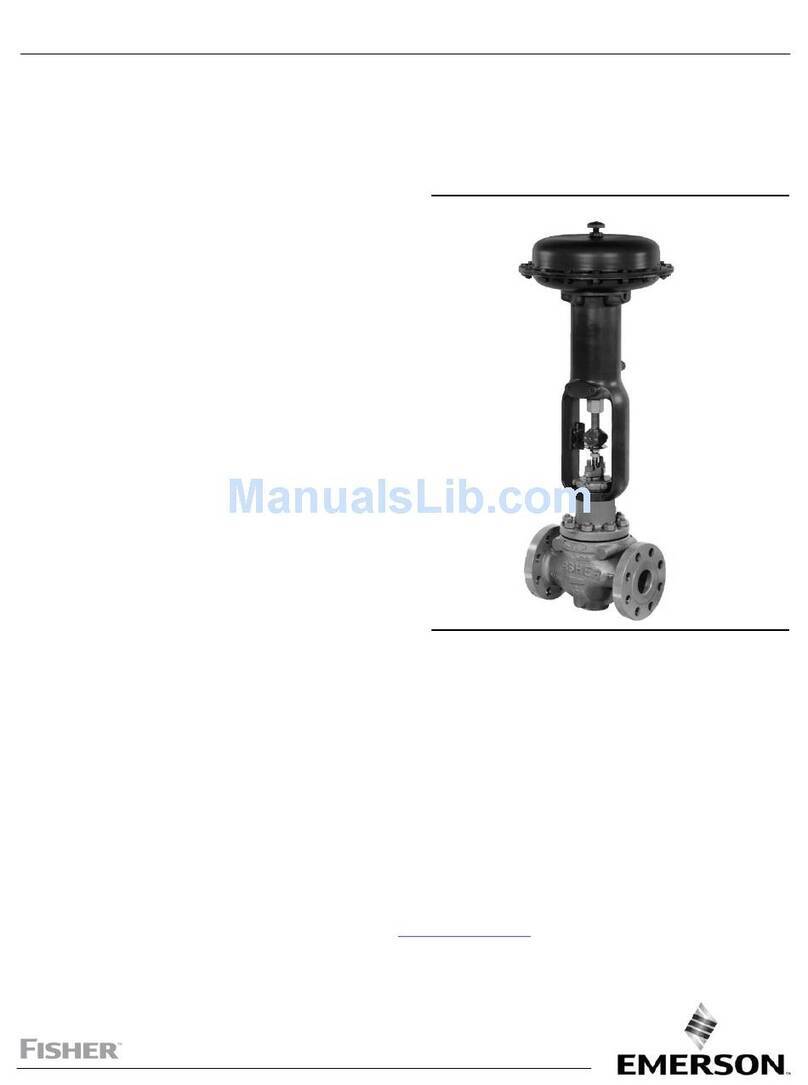 Emerson Fisher EAD User manual