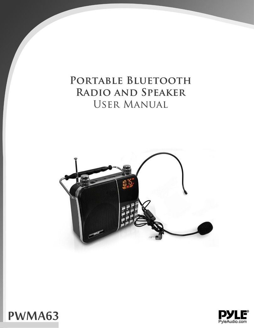 PYLE Audio PWMA63 User manual