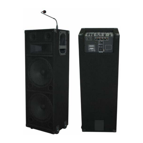 Ibiza sound STANDUP-212 User manual