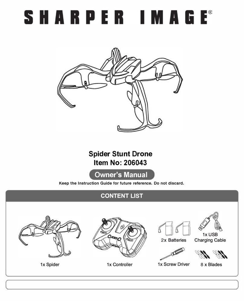 Sharper Image 206043 owner's manual