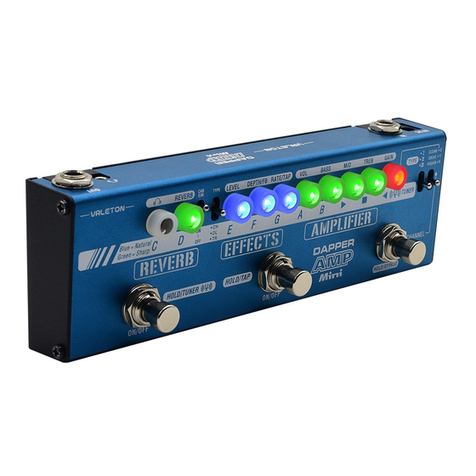 Valeton Dapper Amp Mini owner's manual