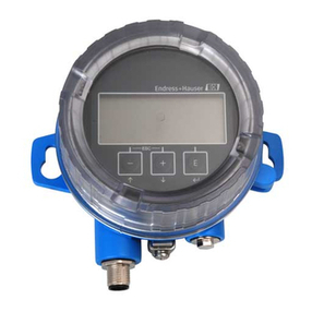 Endress+Hauser FHX50 User manual