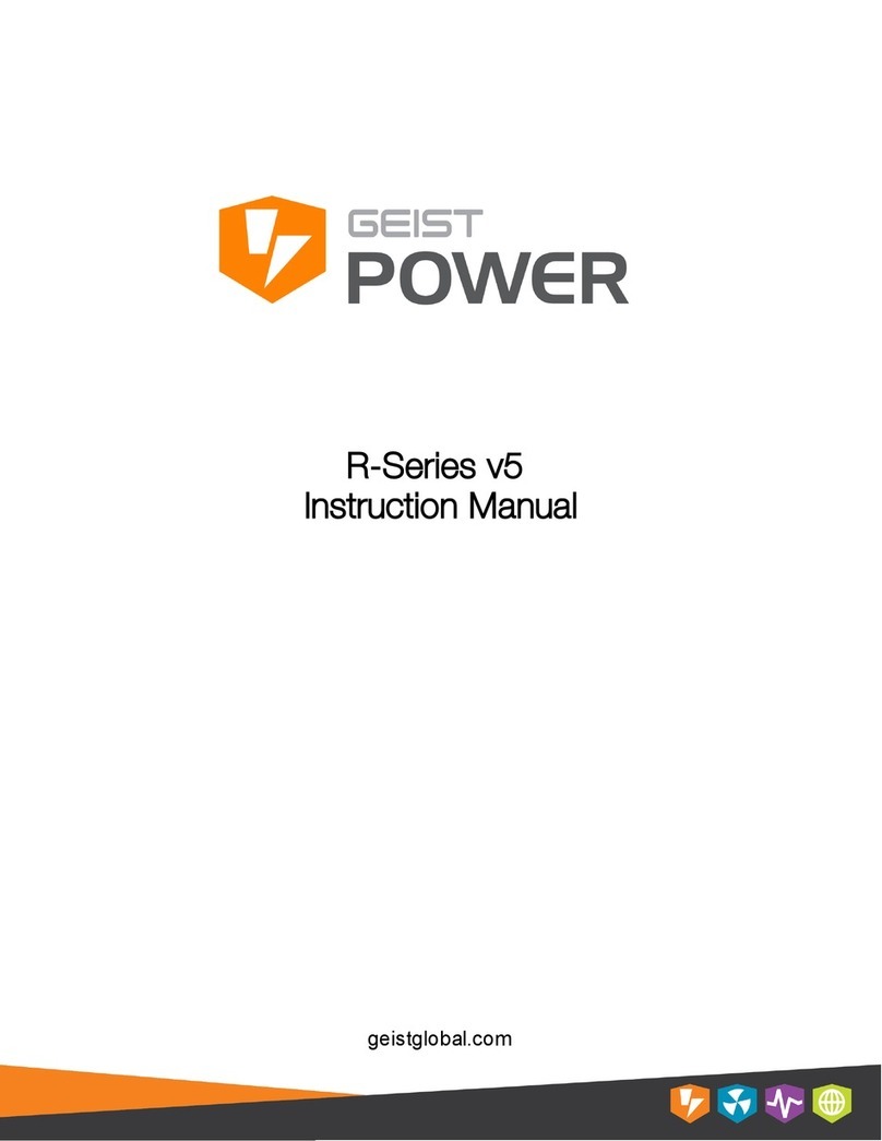 Geist RCX User manual