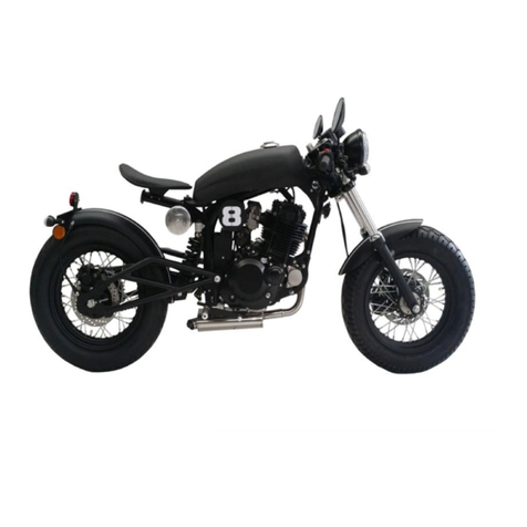 SSR Motorsports SNAKE EYES XF250-GS owner's manual