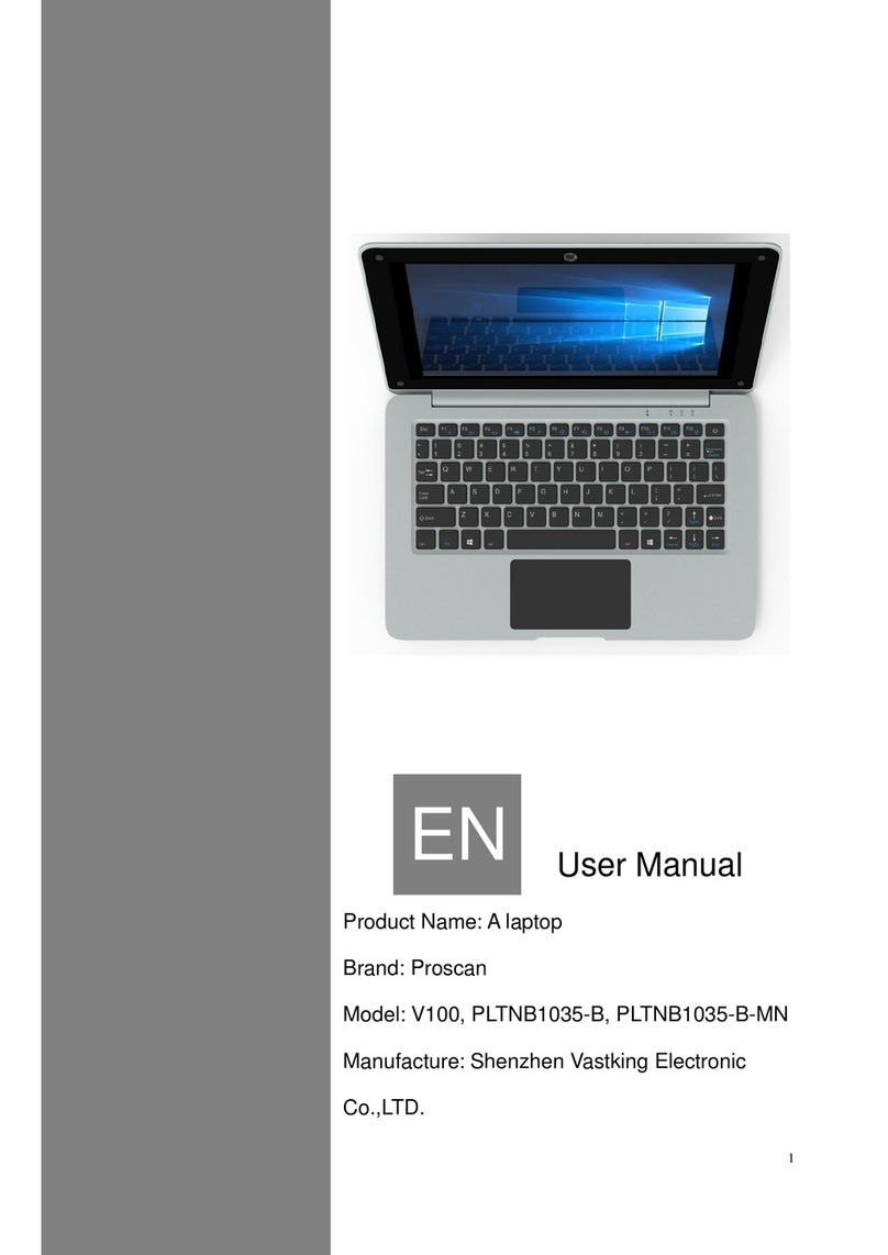 Vastking Electronic V100 user manual
