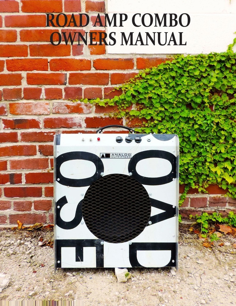 Analog Outfitters Road Amp Combo owner's manual