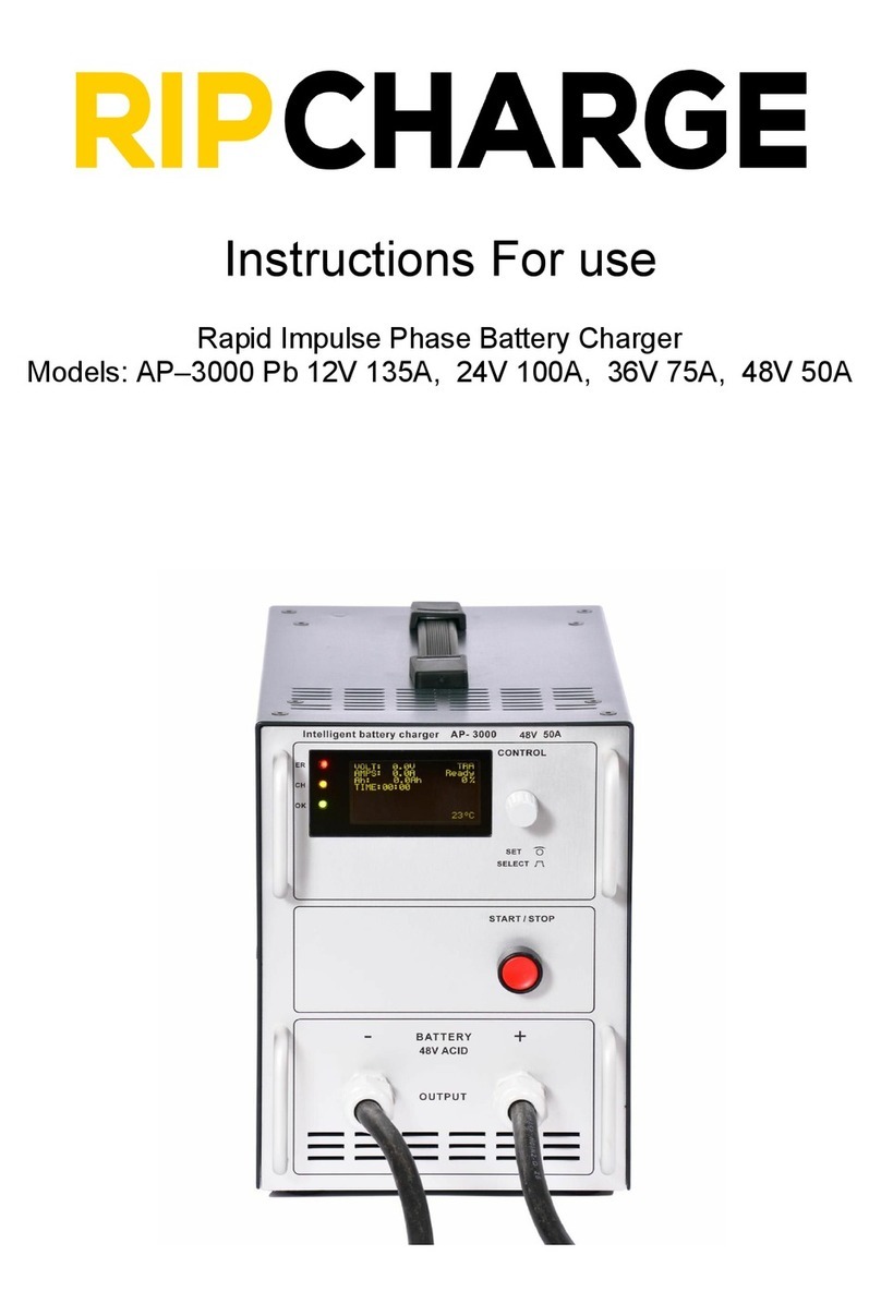 RIPCHARGE AP-3000 Pb Instructions for use
