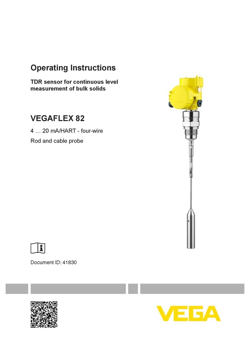 Vega VEGAFLEX 82 User manual