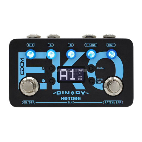 Hotone Binary Eko User manual