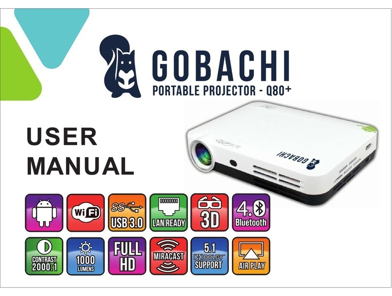 Gobachi Q80+ User manual