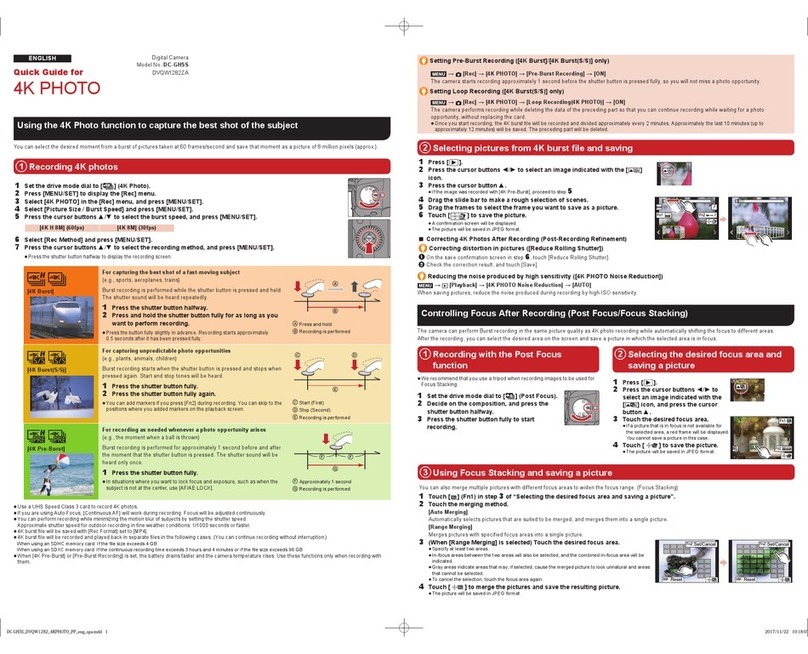 Panasonic Lumix DC-GH5S User manual