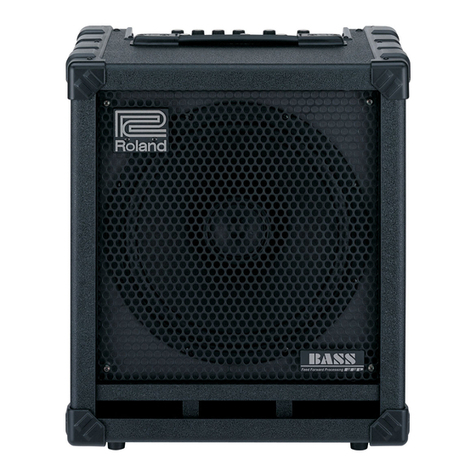 Roland CUBE-100 BASS Operating and maintenance manual Roland CUBE-100 BASS Operating and maintenance manual