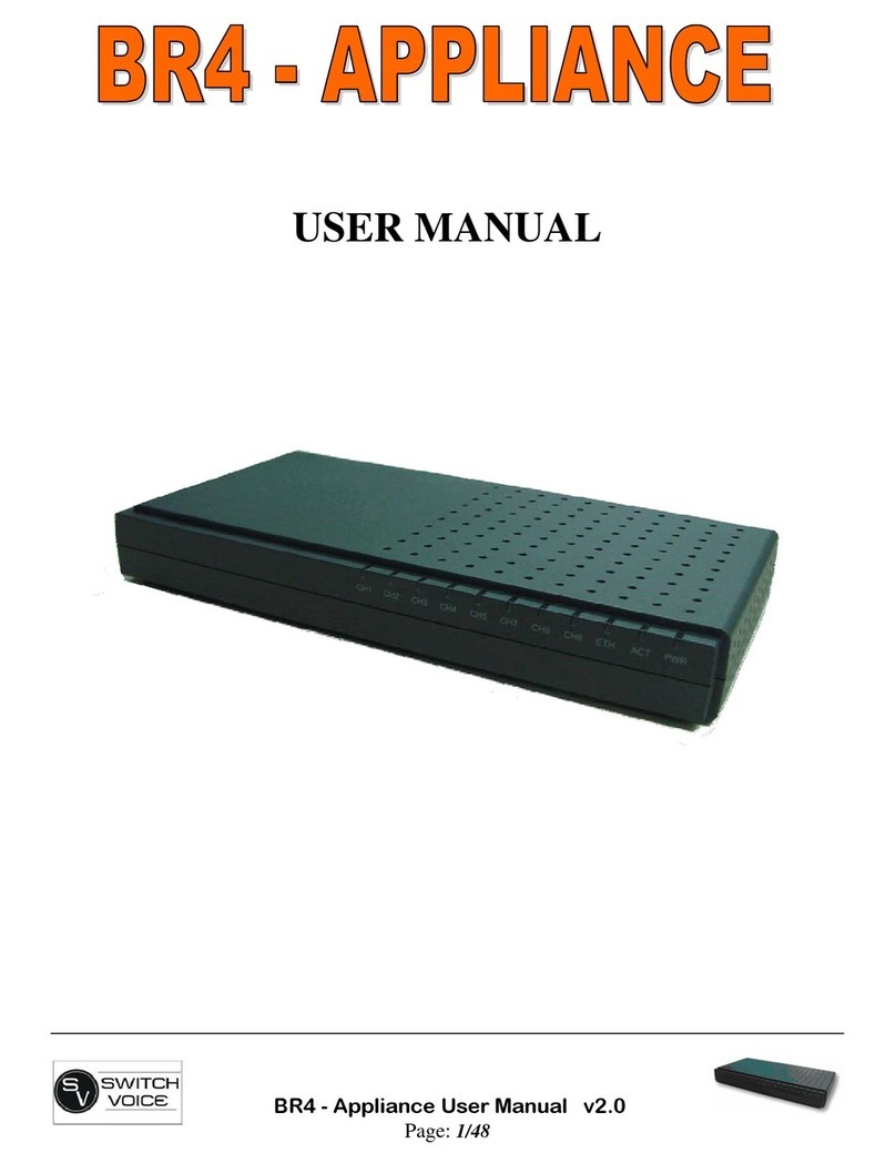 Switch Voice BR4 user manual