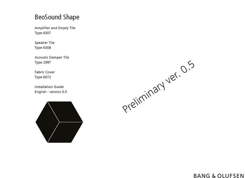 Bang & Olufsen BeoSound Shape User manual