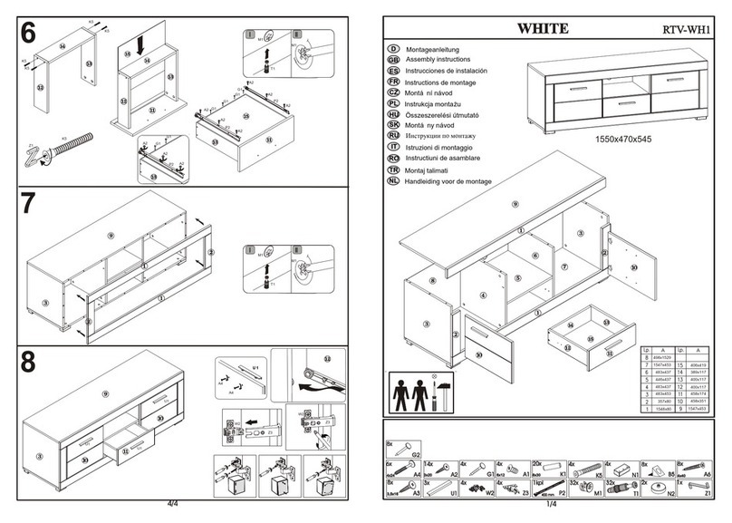 BOGFRAN RTV-WH1 User manual