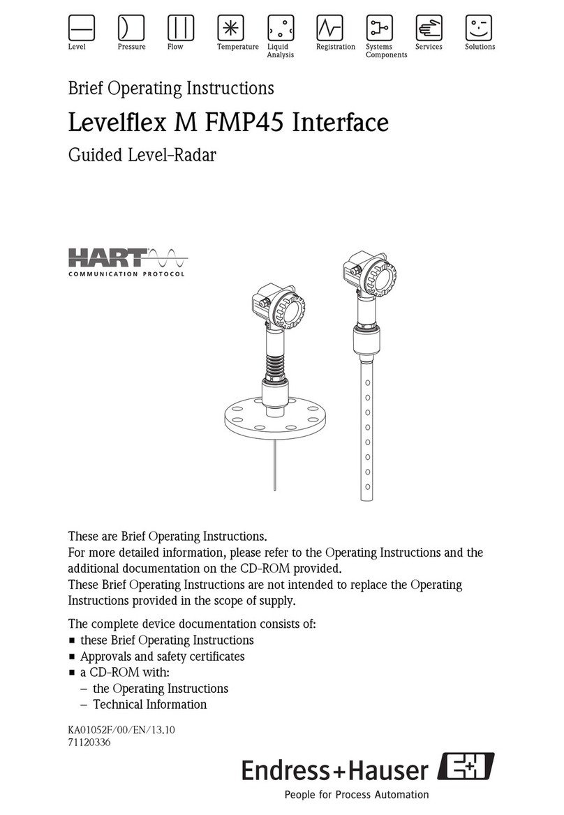 Endress+Hauser Levelflex M FMP45 operating instructions