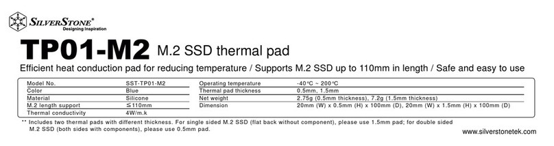 SilverStone TP01-M2 manual