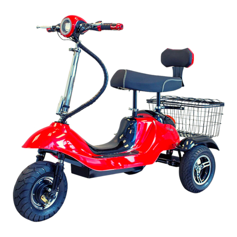 ewheels EW-19 owner's manual