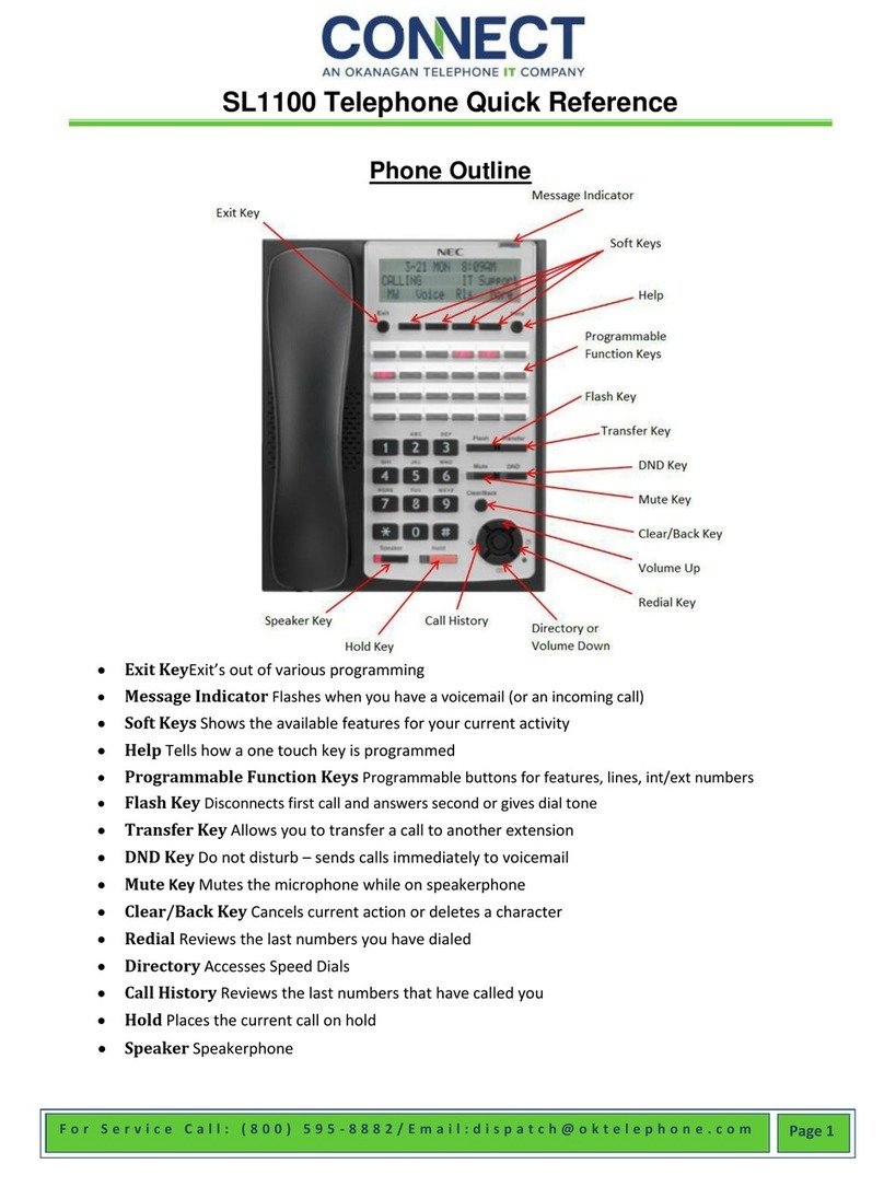 NEC SL1100 User manual NEC SL1100 User manual