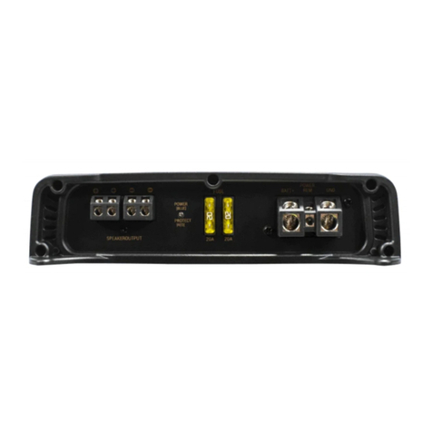 Phoenix Gold RX2 1000.1 User manual