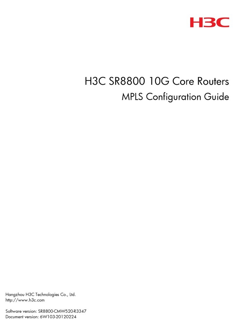 H3C SR8800 10G User manual