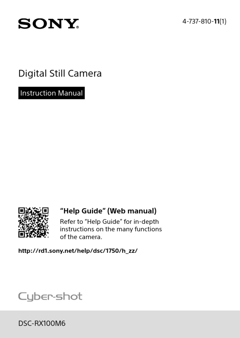 Sony Cyber-shot DSC-RX100M6 User manual