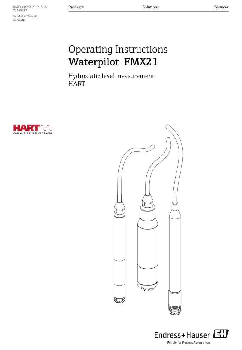 Endress+Hauser Waterpilot FMX21 operating instructions