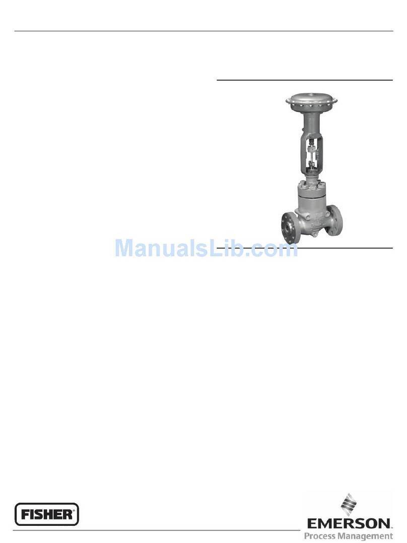 Fisher NotchFlo DST CL300 User manual