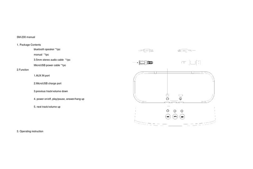 SoundMax SM-230 user manual
