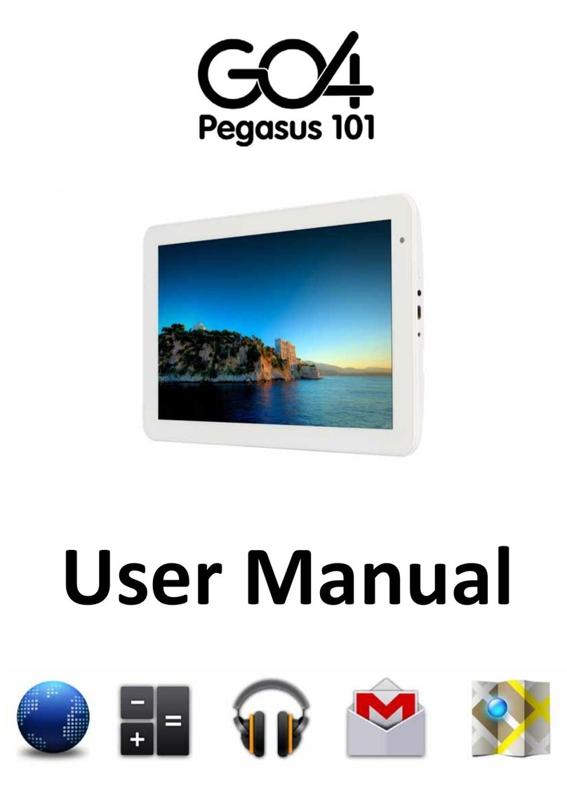 GO4 Pegasus 101 User manual