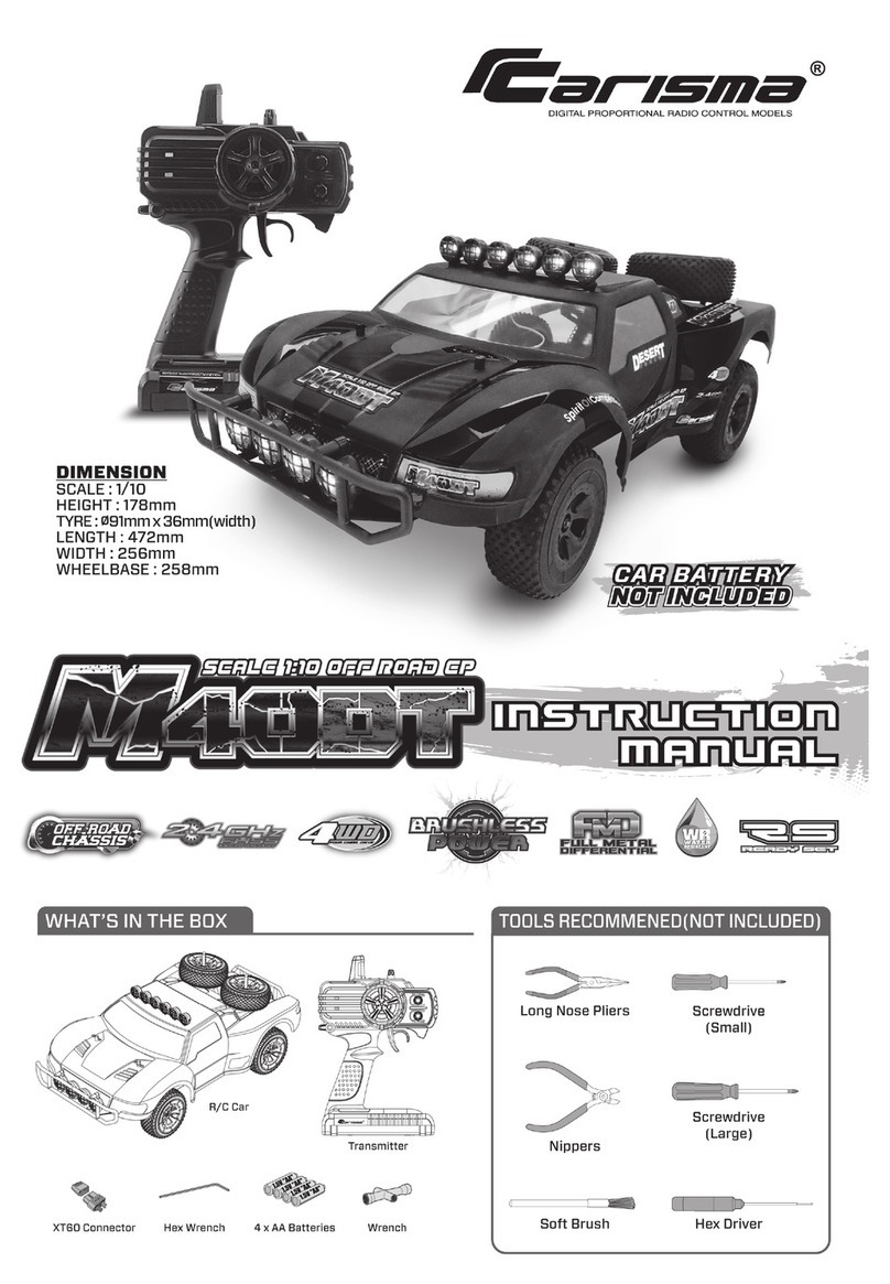 Carisma m40dt User manual