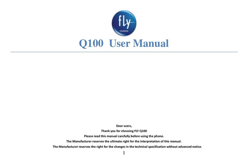 FLY Q100 User manual