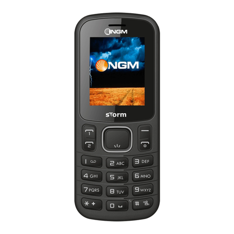 NGM STORM User manual