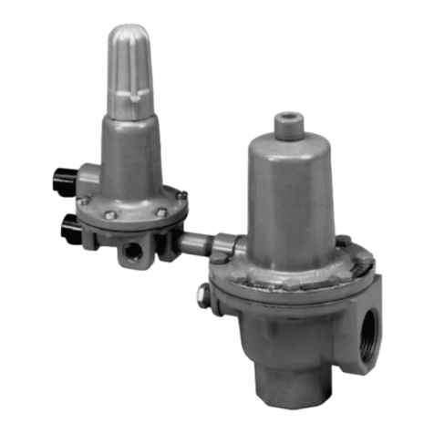 Emerson Fisher Type 289P User manual