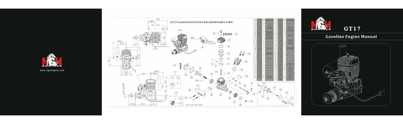 NGH GT17 manual