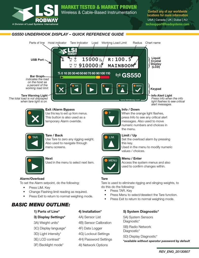 LSI GS550 User manual