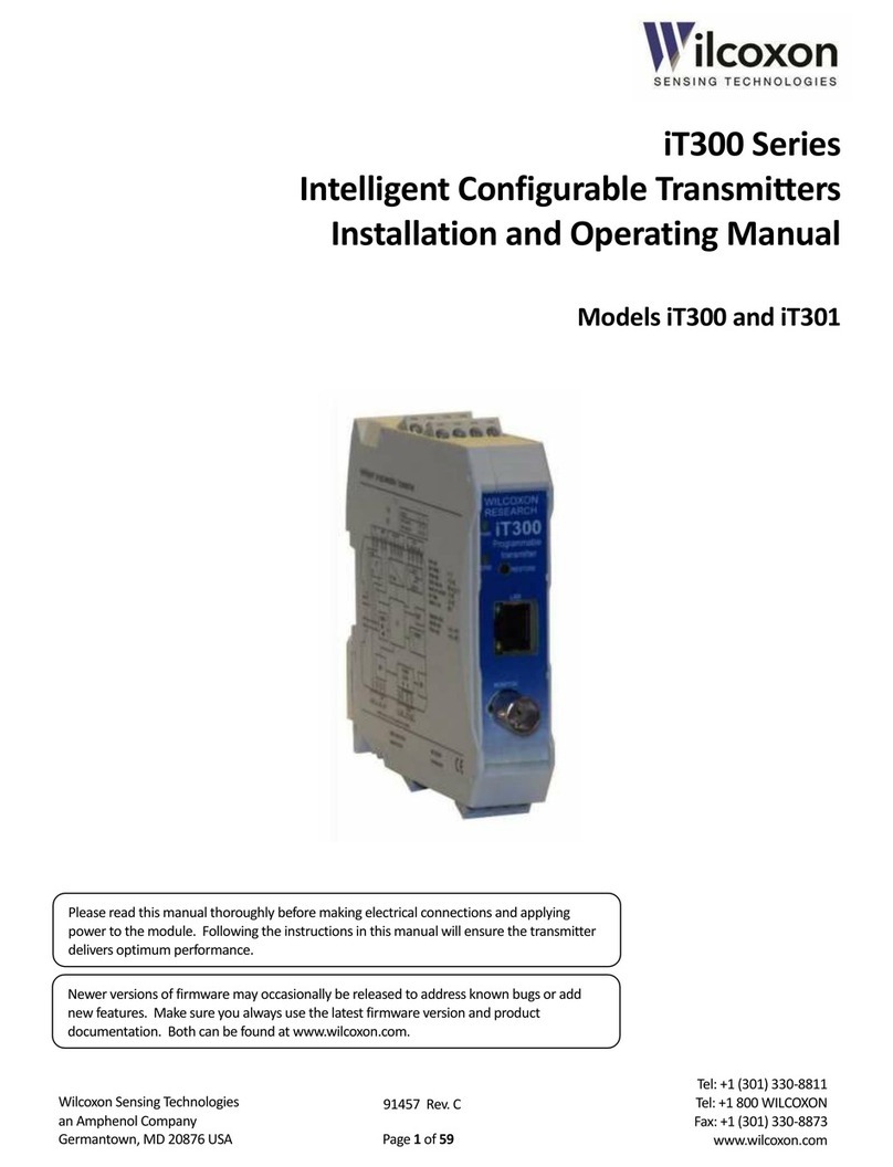 Wilcoxon iT300 Installation and operating manual