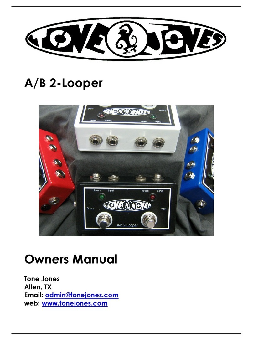 Tone Jones A/B 2-Looper owner's manual
