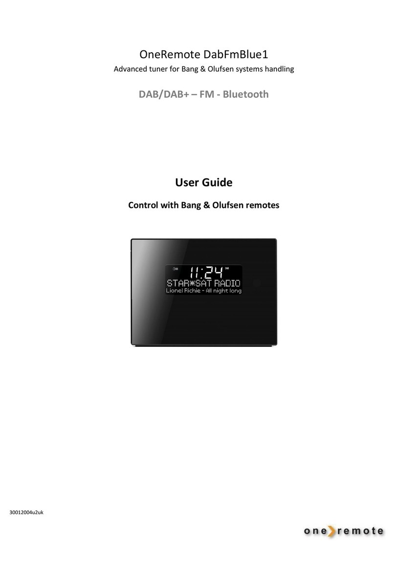 One Remote DabFmBlue1 User manual