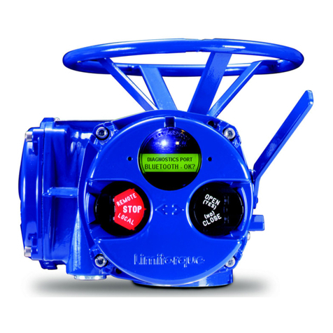 Flowserve Limitorque MX User guide Flowserve Limitorque MX User guide
