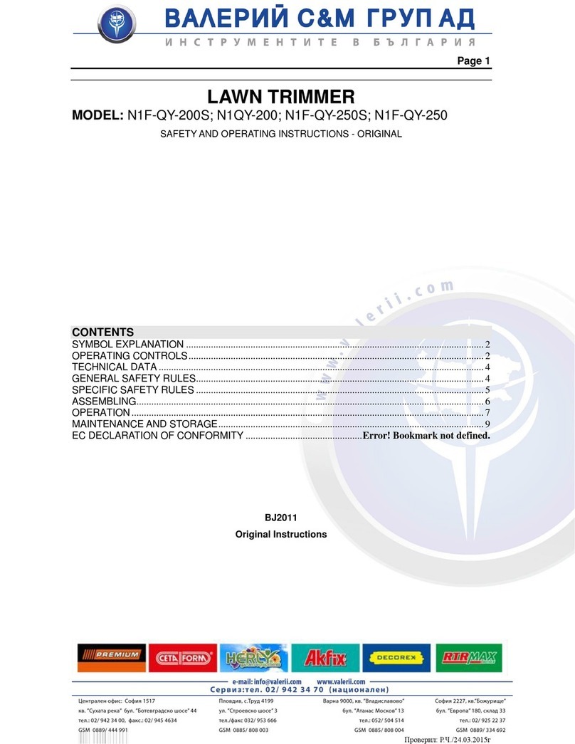 VALERII S & M GROUP N1F-QY-200S Safety and operating instructions
