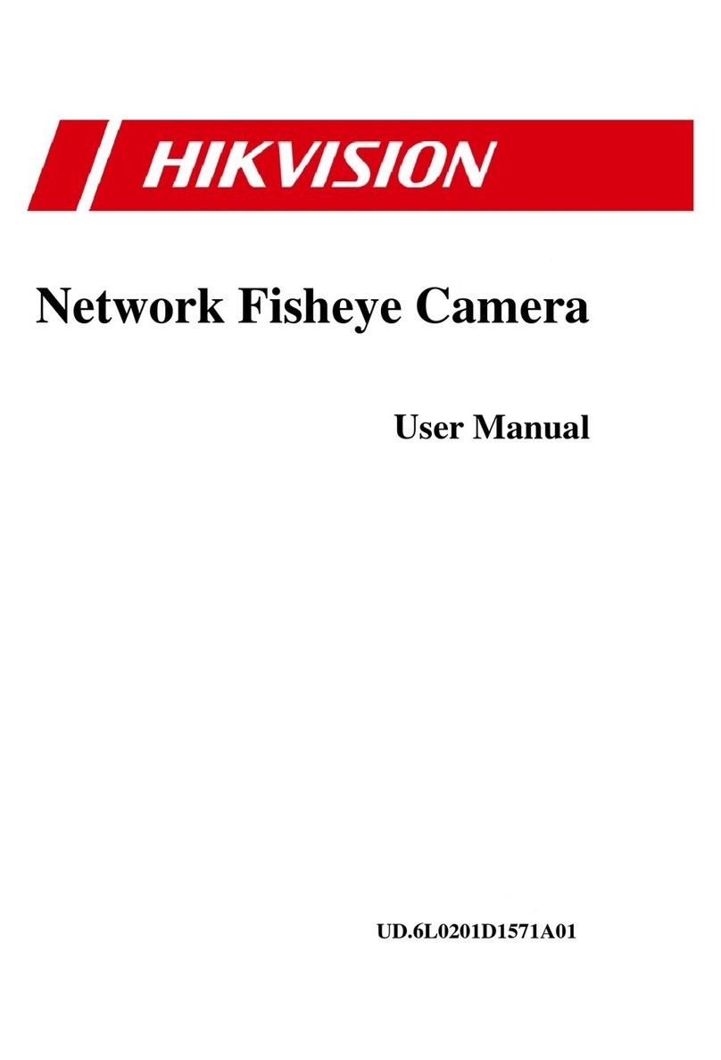 HIK VISION DS-2CD2942F-W User manual