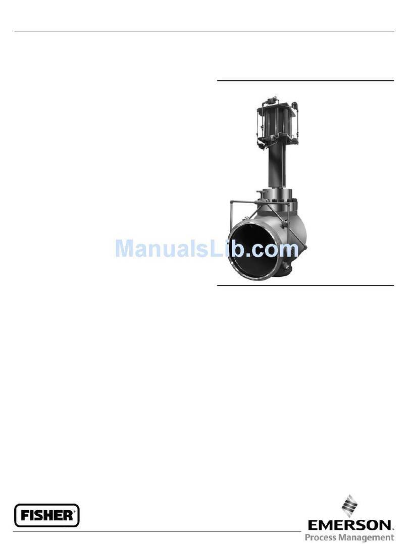 Emerson Fisher TBX User manual