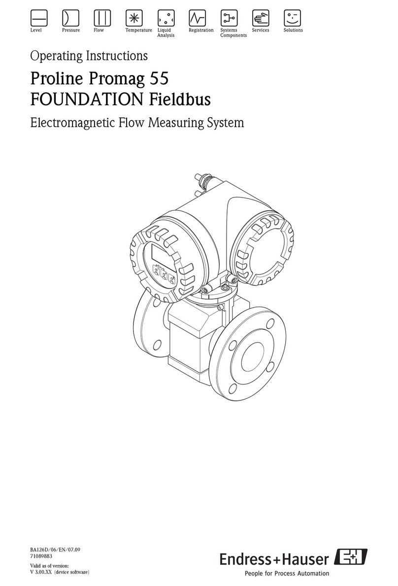 Endress+Hauser Proline Promag 55 User manual