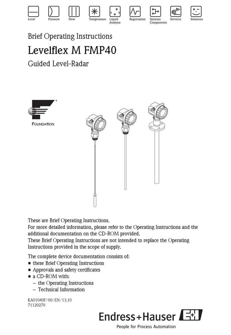 Endress+Hauser Levelflex M FMP40 Technical specifications