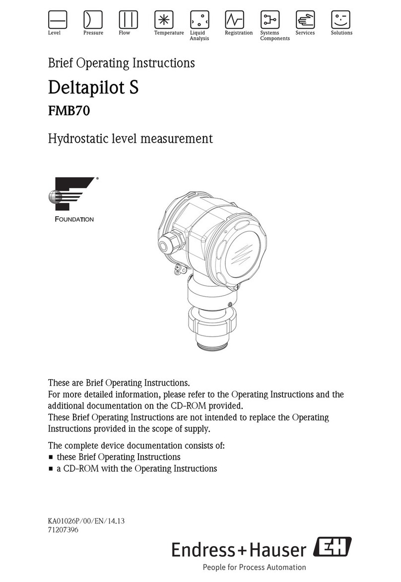 Endress+Hauser Deltapilot S FMB70 Brief operating instructions