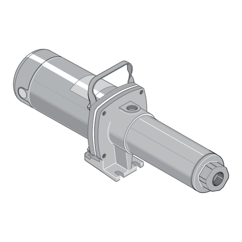 STA-RITE Signature 2000 User manual